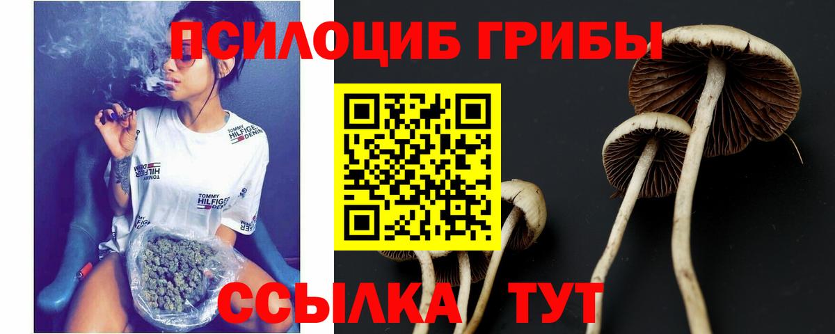 Заводоуковск  купить закладку  Галлюциногенные грибы ЛСД  Вход с VPN  Псилоцибиновые грибы Cubensis 